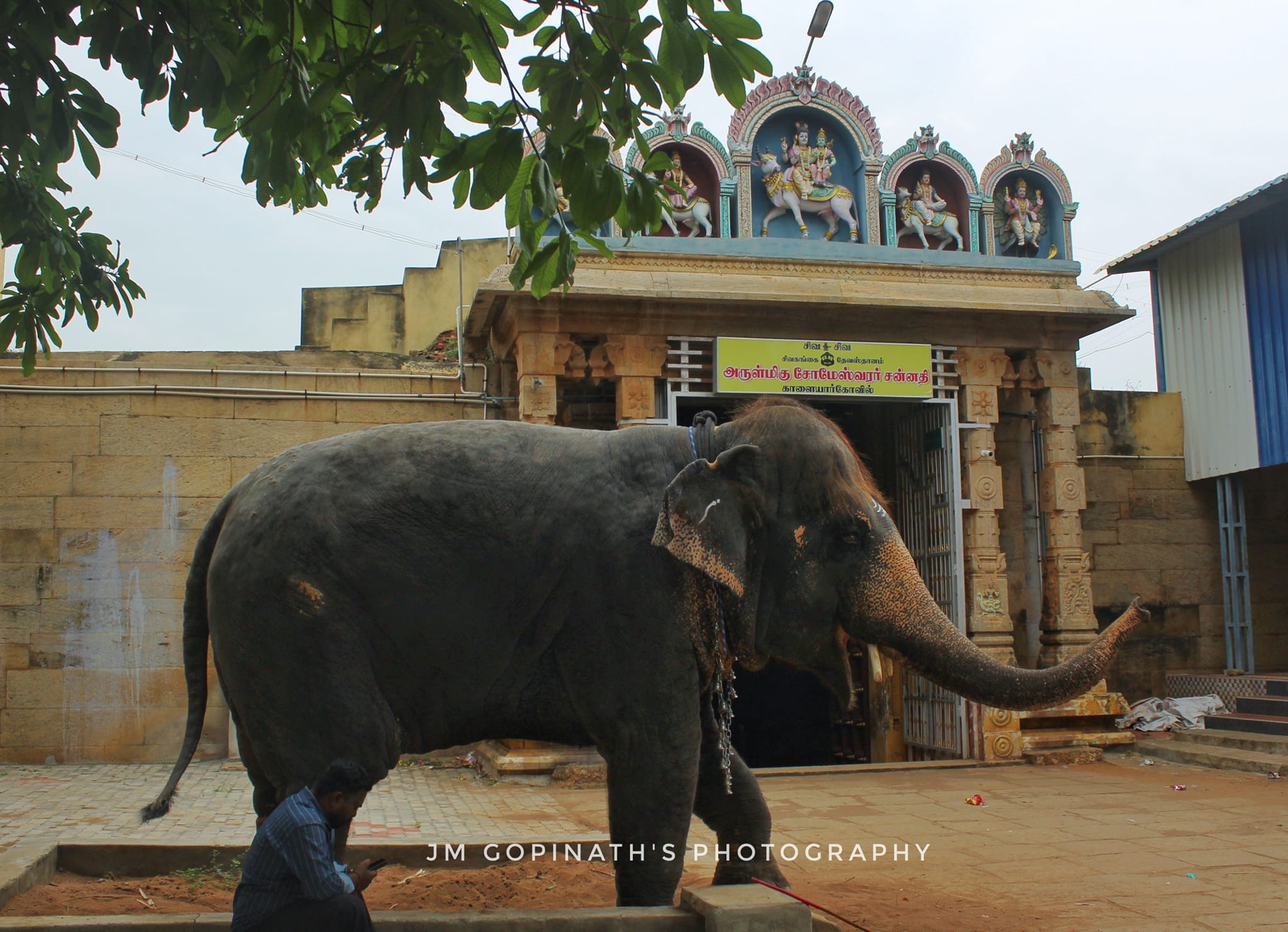 Arulmigu Sornakaliswarar Temple, Kalaiyarkovil