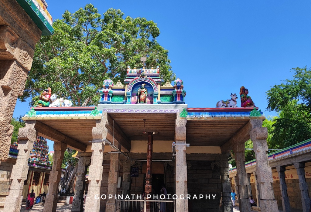 Arulmigu Thiruvapudaiyar Temple, Sellur, Madurai